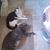 Fabiola Francis's profile image