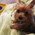 Suzanne Dorminy Bond's profile image