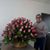 Borrego Torres's profile image