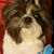 Zin Paloma Sandoval's profile image