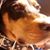 Paulette Meyers's profile image