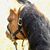 Stephanie Cheyenne Snyder's profile image
