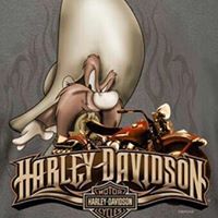 Bob Mich's profile image