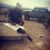 Roel Gonzalez's profile image