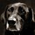 Jeff Loftin's profile image