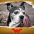 Meghann Byford Baker's profile image