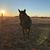 Linda Manke's profile image