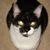 Della Lansberry's profile image