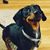 Patrick DeLapp's profile image