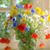 Vonda Rae's profile image