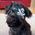 Lacy Erickson's profile image