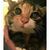 Bobby Matthews's profile image