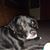 Michelle Miller's profile image