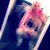 Ashleyy Niicole's profile image