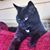 Debra Hibble McInvale's profile image