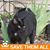 Amy Hoag-Gilliland's profile image