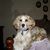 Kathy Mattern Leque's profile image