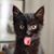 Anne Lorigan's profile image