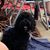 Laura Culley's profile image