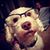 Laura Dollinger's profile image