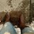 Krysha Chantelle's profile image