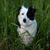 Julie Michalak's profile image