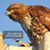 Muffy S. Gately's profile image