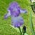 Mary McCarter's profile image