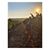 McKensie Saldo's profile image