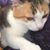 Patricia Tonsuso's profile image