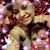 Octavio Villalobos's profile image
