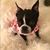 Carolee Weaver's profile image