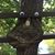 Andi Yi's profile image