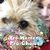Linda Sanchirico-Haggerty's profile image