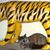 Donna Bickley's profile image