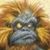 Matt Church's profile image