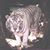 Marcy Tsi-Sar's profile image