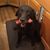 Joan Martindale's profile image
