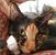 Stephanie Kullman's profile image