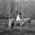 Judy Wright's profile image