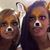 Brandy Marie Rudes's profile image