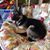 Linda Moose Duckworth's profile image
