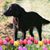 Amanda Rawson's profile image