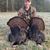 Rick Currie's profile image