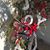 Patti Fox Schuch's profile image