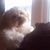 Charlene Carter's profile image