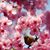Brenda James's profile image