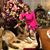 Karen Polit's profile image