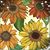 Lisa Roberts's profile image