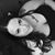 Jessica Faught's profile image